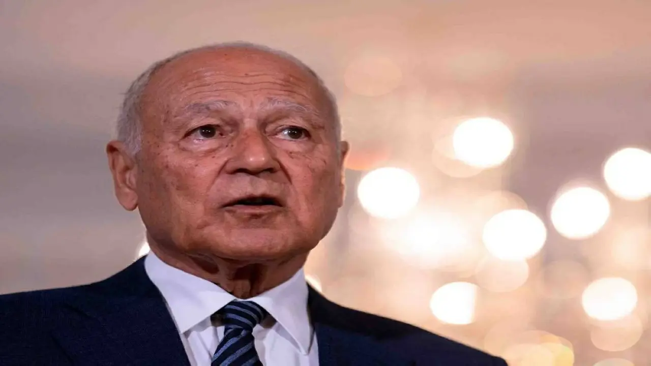 أبو الغيط ينتقد هجمات محيط محطة براكة للطاقة النووية